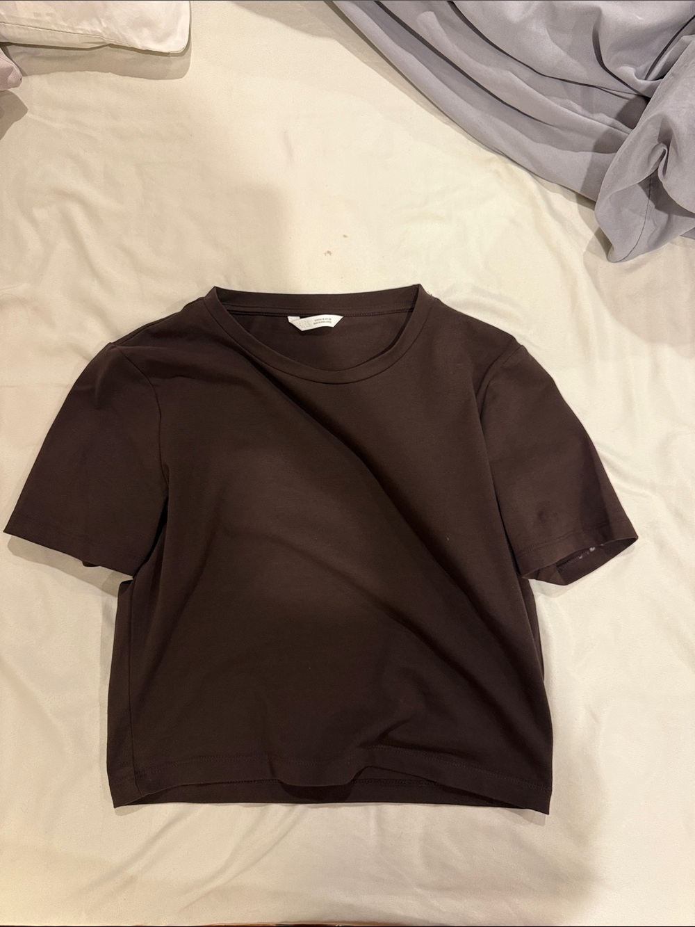 Zara Dark Brown Crewneck Short Sleeve Tee